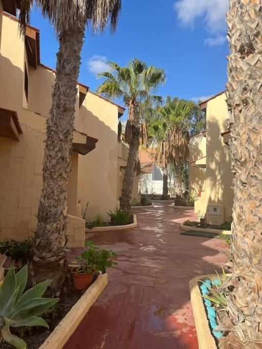 Casa Cactus Paraiso Parque Holandes Dış mekan fotoğraf