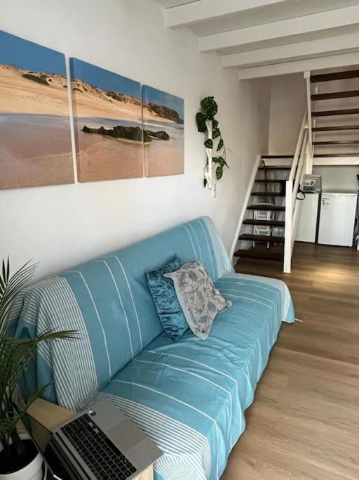Casa Cactus Paraiso Parque Holandes Dış mekan fotoğraf