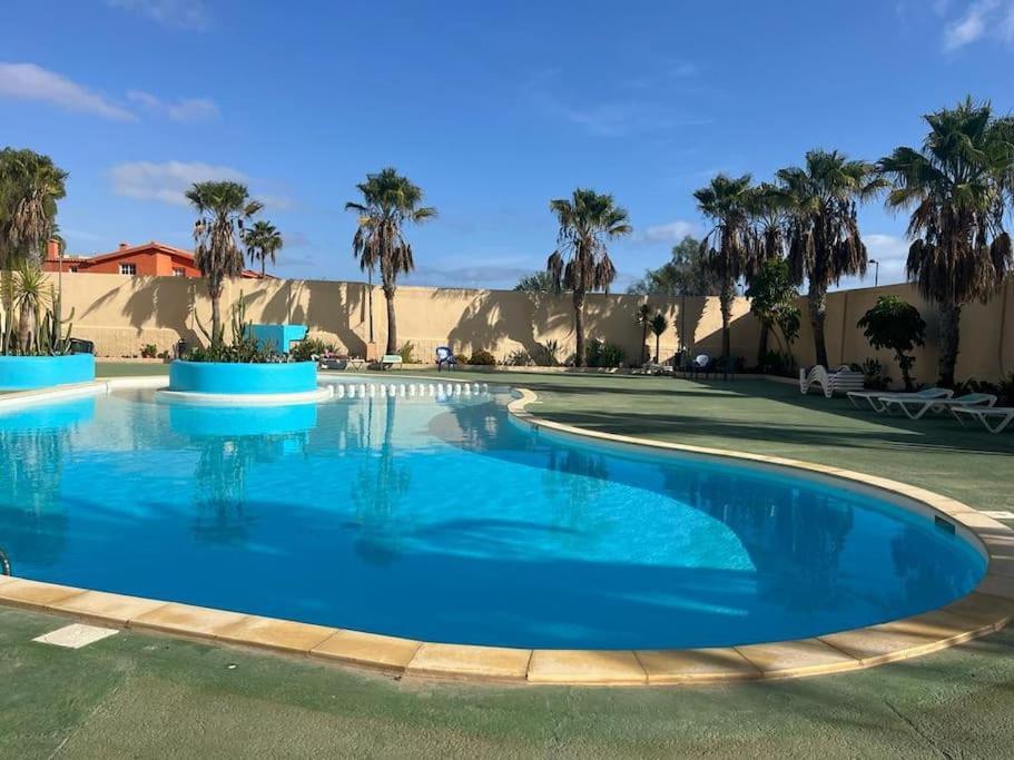Casa Cactus Paraiso Parque Holandes Dış mekan fotoğraf