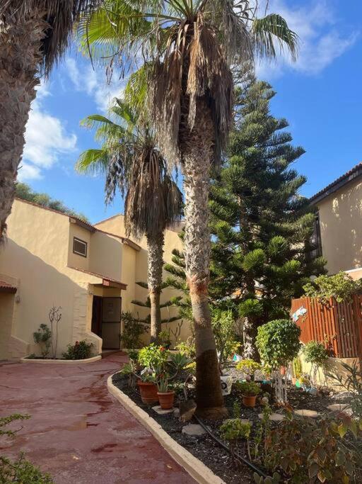 Casa Cactus Paraiso Parque Holandes Dış mekan fotoğraf