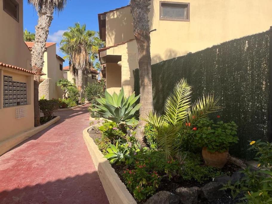 Casa Cactus Paraiso Parque Holandes Dış mekan fotoğraf