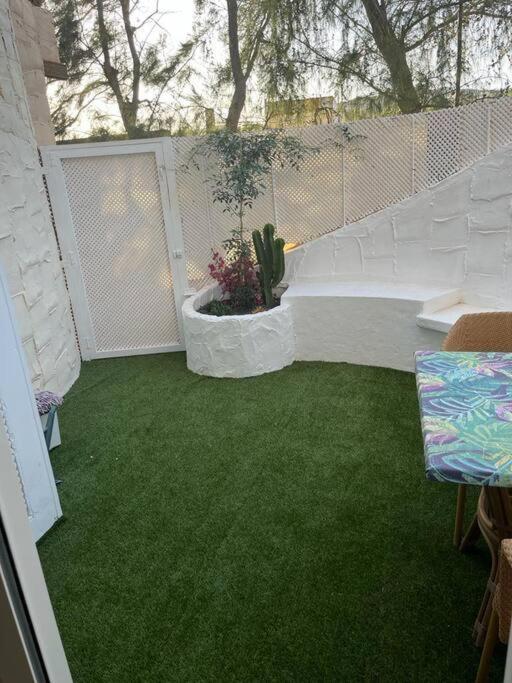 Casa Cactus Paraiso Parque Holandes Dış mekan fotoğraf