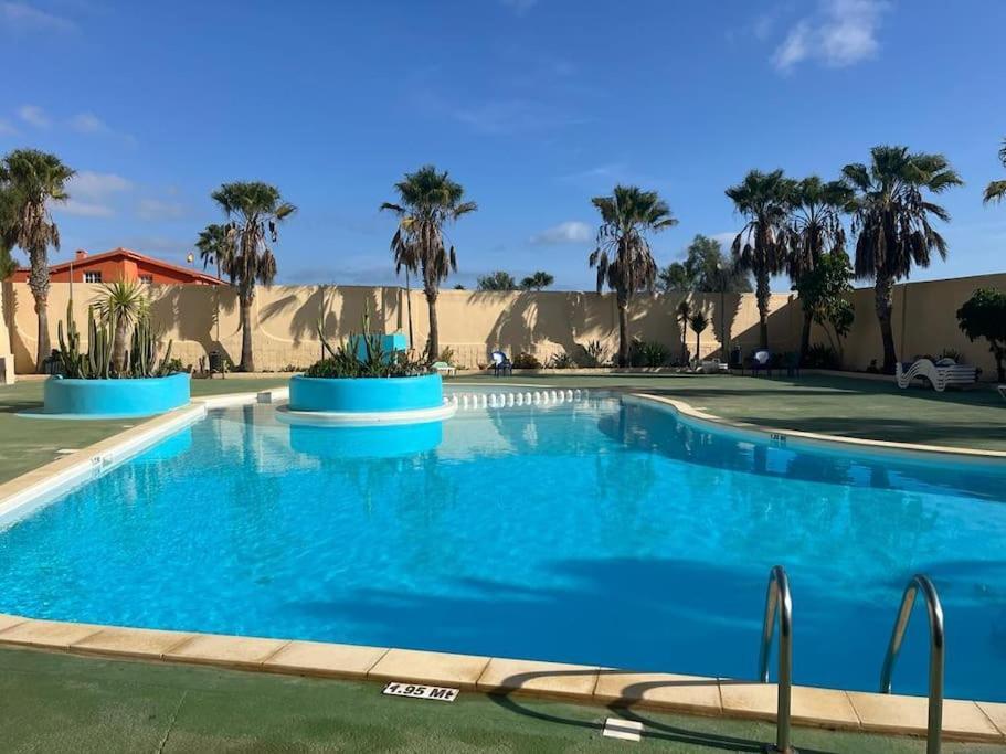 Casa Cactus Paraiso Parque Holandes Dış mekan fotoğraf